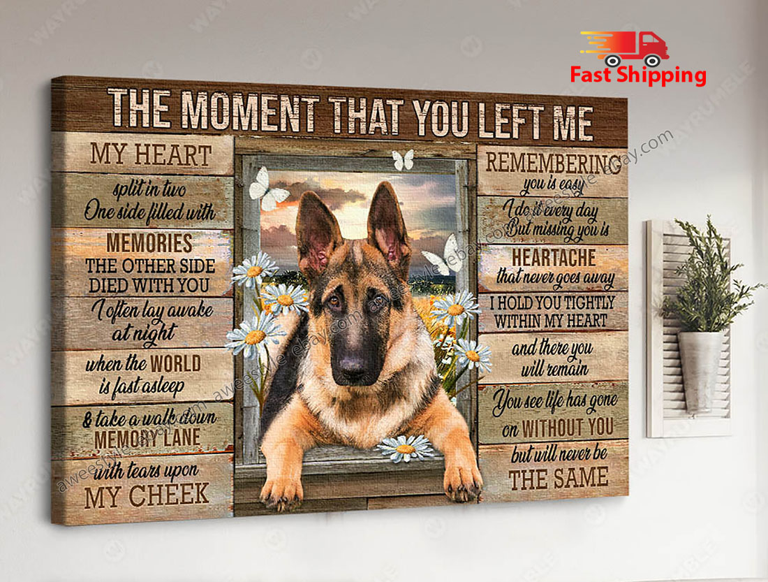 How To Bulk Up German Shepherd